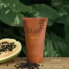 Epoch Sole Solution - obrazek 2